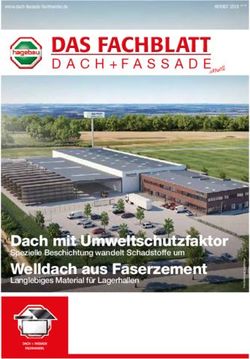 Dach mit Umweltschutzfaktor - Spezielle Beschichtung wandelt Schadstoffe um - HOLZ STRUPP