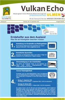 VULKAN ECHO VERBANDSGE MEINDE ULMEN - MIT DEN KREISNACHRICHTEN DES KREISES CO CHEM-ZELL - VERBANDSGEMEINDE ULMEN