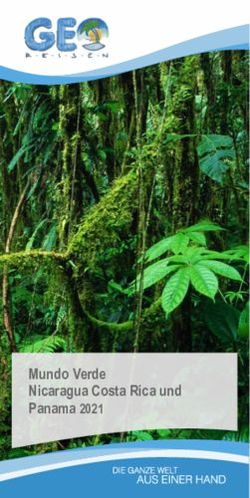 Mundo Verde Nicaragua Costa Rica und Panama 2021 - GEO Reisen