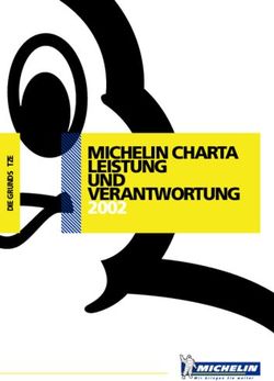 MICHELIN CHARTA LEISTUNG UND VERANTWORTUNG 2002