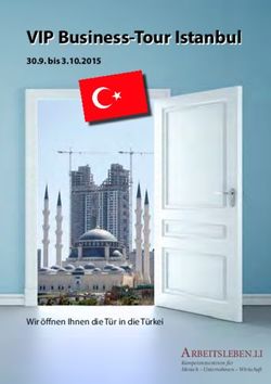 VIP Business-Tour Istanbul - ARBEITSLEBEN.LI
