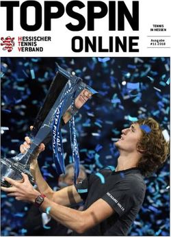 TOPSPIN Ausgabe ONLINE - HESSISCHER TENNIS VERBAND