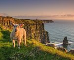 Irland vom Spezialisten - Rolf Meier Reisen