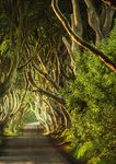 Irland vom Spezialisten - Rolf Meier Reisen