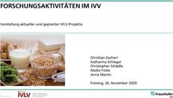 FORSCHUNGSAKTIVITÄTEN IM IVV - Vorstellung aktueller und geplanter IVLV-Projekte Christian Zacherl Katharina Schlegel Christopher Schädle Maike ...
