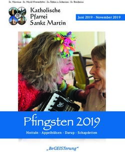 PFINGSTEN 2019 - KATHOLISCHE PFARREI SANKT MARTIN - "BEGEISTERUNG" - ST. MARTIN NOTTULN