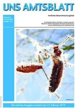 Die nächste Ausgabe erscheint am 22. Februar 2019 - Amt Schönberger Land