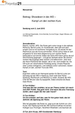 BEITRAG: SHOWDOWN IN DER AFD - KAMPF UM DEN RECHTEN KURS