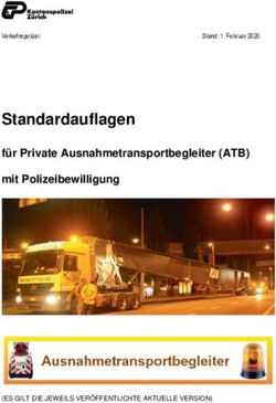 Standardauflagen für Private Ausnahmetransportbegleiter (ATB) mit Polizeibewilligung - Kanton Zürich