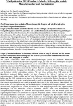 Wahlpr&uuml;fsteine 2023 Eberhard-Schultz-Stiftung f&uuml;r soziale Menschenrechte und Partizipation