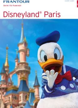 Disneyland Paris Die Nr. 1 für Frankreich - FRI Travel AG
