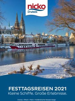 FESTTAGSREISEN 2021 Kleine Schiffe. Große Erlebnisse - Donau Rhein Main Holländische Wasserwege