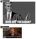 Das Internet-Meme als Sprache-Bild-Text - Andreas Osterroth