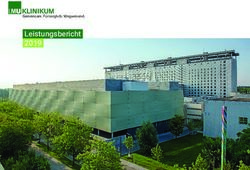 Leistungsbericht 2019 - Gemeinsam. F&uuml;rsorglich. Wegweisend - LMU Klinikum