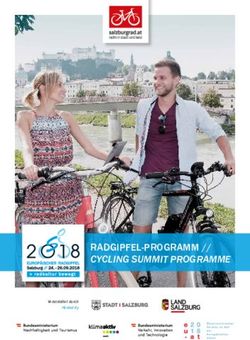 RADGIPFEL-PROGRAMM // CYCLING SUMMIT PROGRAMME - Z_GIS