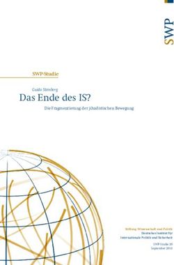 Das Ende des IS? SWP-Studie - Guido Steinberg - Stiftung ...