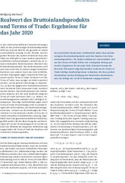 Realwert des Bruttoinlandsprodukts und Terms of Trade: Ergebnisse f&uuml;r das Jahr 2020