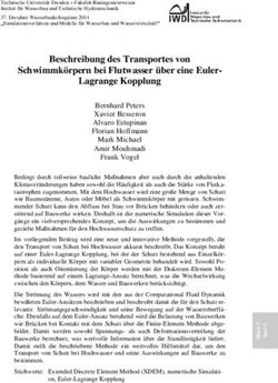 Beschreibung des Transportes von Schwimmk&ouml;rpern bei Flutwasser &uuml;ber eine Euler-Lagrange Kopplung