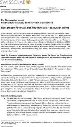 Das grosse Potenzial der Photovoltaik - so nutzen wir es - Swissolar