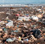 Müllkippe Meer Plastik und seine tödlichen Folgen - Nabu