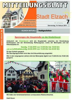MITTEILUNGSBLATT 7 - Stadt Elzach