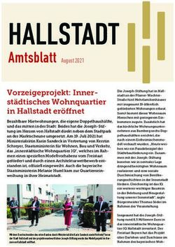 HALLSTADT AMTSBLATT AUGUST 2021 - VORZEIGEPROJEKT: INNER-ST&Auml;DTISCHES WOHNQUARTIER IN HALLSTADT ER&Ouml;FFNET