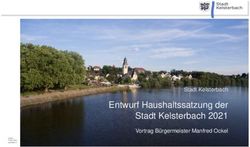 Entwurf Haushaltssatzung der Stadt Kelsterbach 2021 - Stadt Kelsterbach