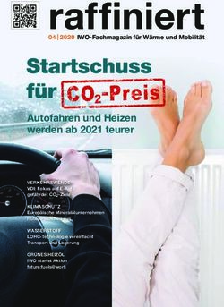 Raffiniert - zukunftsheizen.de