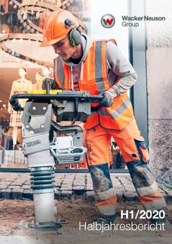 H1/2020 Halbjahresbericht - Wacker Neuson Group