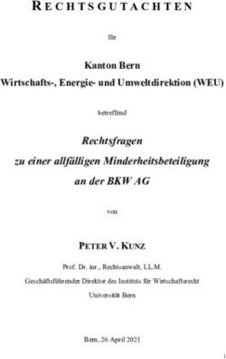 Rechtsfragen zu einer allf&auml;lligen Minderheitsbeteiligung an der BKW AG - Kanton Bern