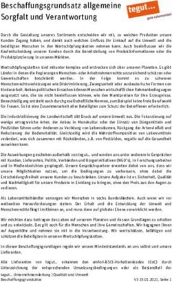 Beschaffungsgrundsatz allgemeine Sorgfalt und Verantwortung