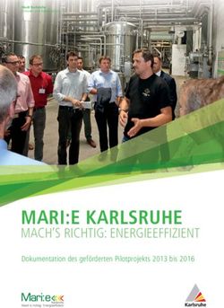 MARI:E KARLSRUHE MACH'S RICHTIG: ENERGIEEFFIZIENT - Dokumentation des gef&ouml;rderten Pilotprojekts 2013 bis 2016 - IREES GmbH