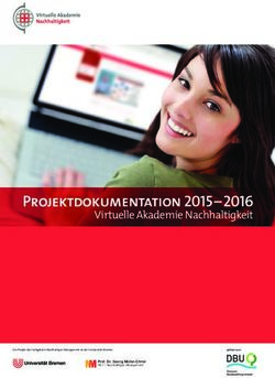 Projektdokumentation 2015 2016 - Virtuelle Akademie Nachhaltigkeit - Deutsche Bundesstiftung Umwelt
