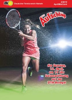 Am Samstag, 13. April, um 15 Uhr Saisoner&ouml;ffnung auf der DTH-Anlage! - 2/2019 April/Mai/Juni - DTH Hameln