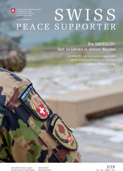 Die SWISSCOY: Seit 20 Jahren in stetem Wandel - Admin.ch