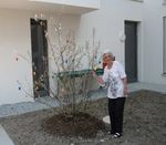 Informationen f&uuml;r Angeh&ouml;rige / April 2020 - AWO ...