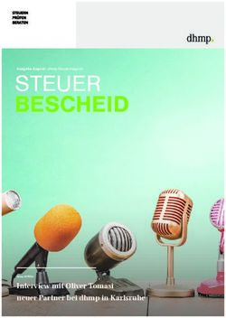 STEUER BESCHEID - Interview mit Oliver Tomasi - neuer Partner bei dhmp in Karlsruhe - Wiadok