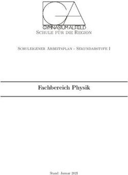 Fachbereich Physik Schule f&uuml;r die Region - Schuleigener Arbeitsplan - Sekundarstufe I