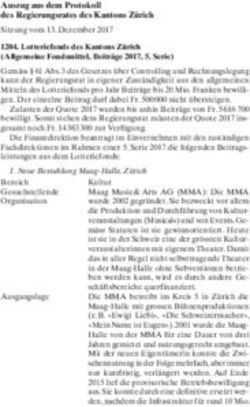 Auszug aus dem Protokoll des Regierungsrates des Kantons Zürich - Kanton Zürich