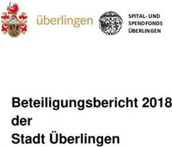 Beteiligungsbericht 2018 der Stadt &Uuml;berlingen - SPITAL- UND SPENDFONDS &Uuml;BERLINGEN