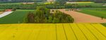 Rapsanbau und Wetter - agrar.basf.de