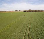 Rapsanbau und Wetter - agrar.basf.de