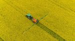 Rapsanbau und Wetter - agrar.basf.de