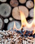 ENERGIE AUS BIOMASSE - ECOPLUS