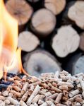 ENERGIE AUS BIOMASSE - ECOPLUS