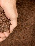 ENERGIE AUS BIOMASSE - ECOPLUS