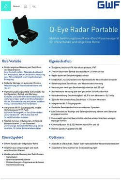 Q-Eye Radar Portable - GWF MessSysteme AG