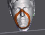 Use of free CAD design software for 3D printing individualized face masks based on face scans Einsatz von CAD-Design-Freeware zur ...
