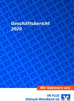 Gesch&auml;ftsbericht 2020 - VR Plus