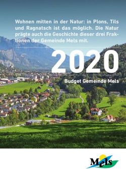 2020 Budget Gemeinde Mels